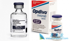 ����ж��ĸ�����ʹ��PD-1���Ƽ����ƺ��в�������Ч��