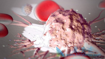 ��Ѫ������