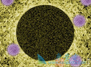 ������ܰ���