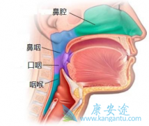 ���ֱ��ʰ����߱�ǻ��Ѫ����Ӧ����ô��