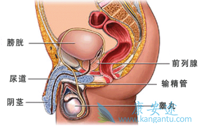 ǰ���ٰ�����