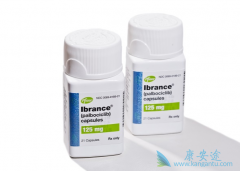 �����£�Palbociclib���߰�����֮ǰ���й����߽�����������