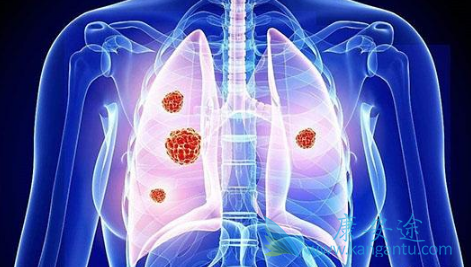 �ΰ����ڿ����κ���