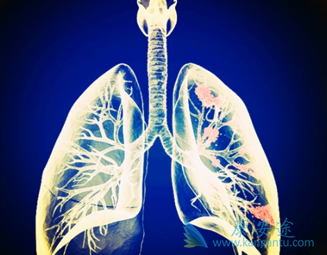 ��ϣ����