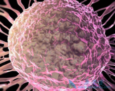 Ϊʲô�����������������/��̹�ڼ�Ҫ���ˮ