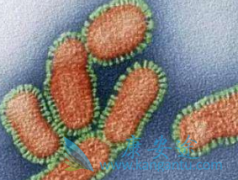 ӡ�����޿�(ERLOTINIB)����Щ�ΰ�����������