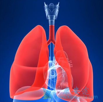 ӡ�����޿�