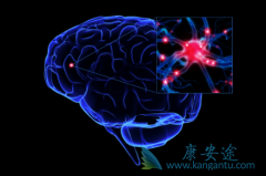 �����鵥��(Nimotuzamab)���ƶ�ͯ�����񾭽�������������Ч