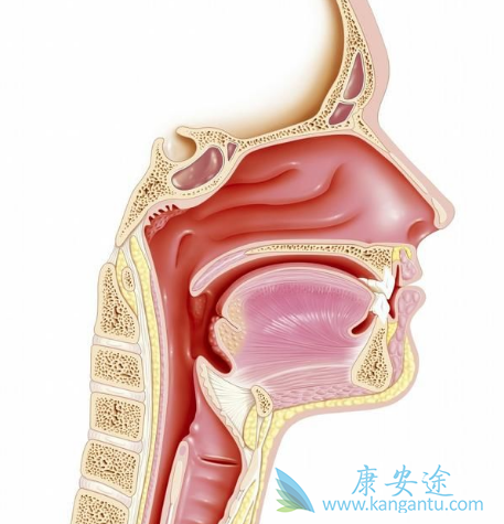 �����鵥��