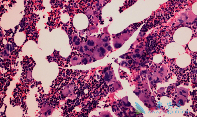 ������ά��