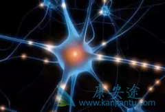 PD-1ҩ��Keytruda�Ǹ��ư�֢�ӹ��������߼�����չ�ĵ�һ�������Ʒ�