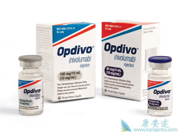 PD-1抑制剂 PD-1抑制剂