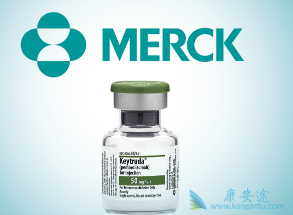 �������鵥��