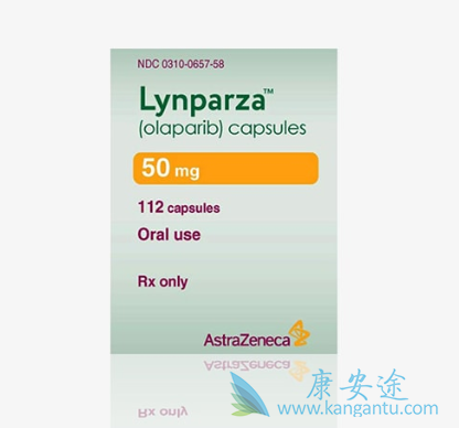 PARP抑制剂 PARP抑制剂