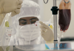 ʲô��CAR-Tϸ���Ʒ���CAR-Tϸ���Ʒ��е�CAR��T��ʲô��˼��