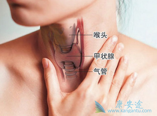 ��״������֢״