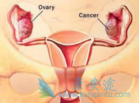 �ѳ���������