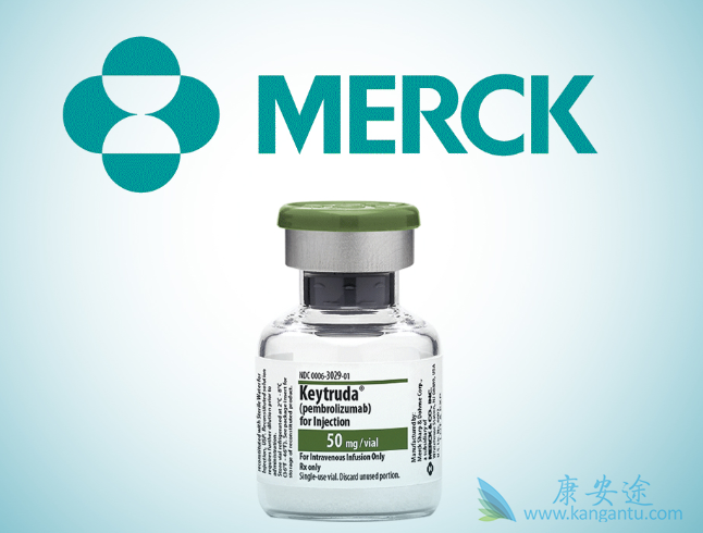 ���߼������Ƽ�