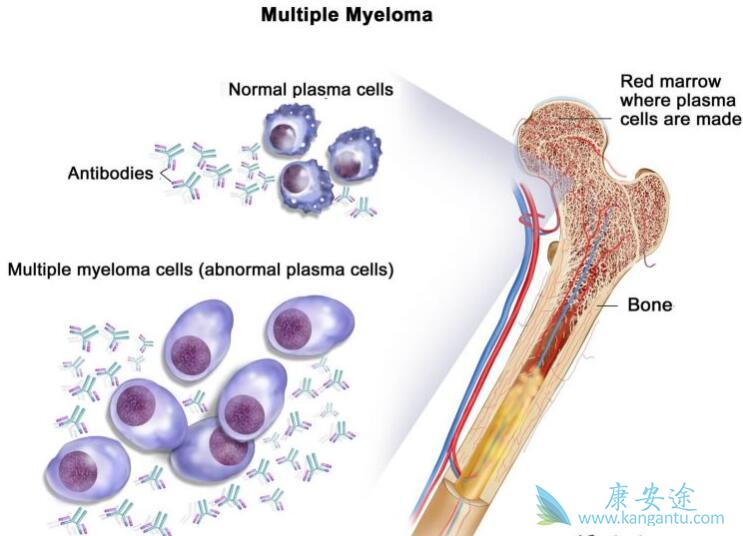 �෢�Թ�����֢״