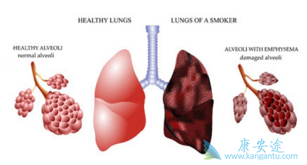 ��ϣ����