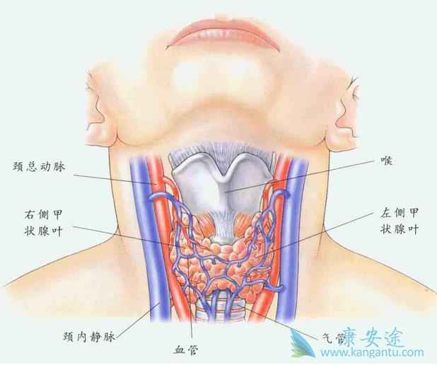 甲状腺瘤的症状 甲状腺瘤的症状