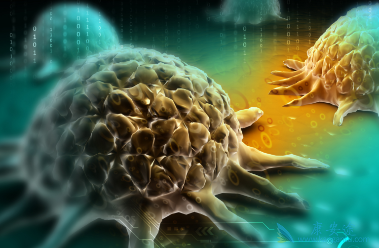 上皮性卵巢癌 上皮性卵巢癌