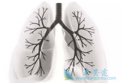 ӡ������ɳ(GEFITINIB)�������Ʒΰ����⻹����Щ���͵İ�֢����Ч