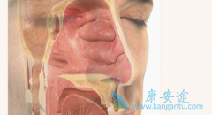 ���ʰ����ƺ�����ô�����ܽ����ʰ��ĸ������ʽ������