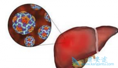 ʲô�ǽ������ƣ��ΰ��������ƺ��߻������Щ������Ӧ