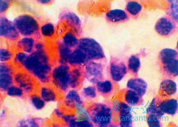 �����Ȱ�