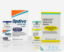 PD-1���Ƽ����������ƴ����ļ��Խ�չ��ʲô��˼��