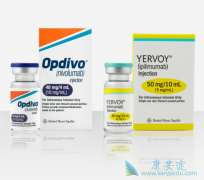 PD-1���Ƽ�Opdivo�����䵥�����ڹ������к��������ŷ����