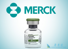 Keytruda��Opdivo��Ŀǰ���ߴ����Ե�PD-1���Ƽ���ҩ��