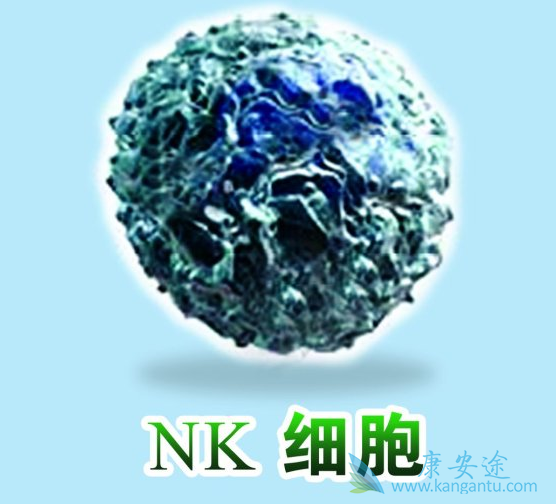 ���߼���