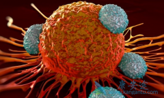 CAR-T���ƹ����������ģ�ĿǰCAR-Tϸ���Ʒ���չ��������