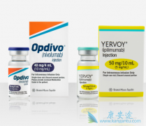 CTLA-4������PD-1��������������ϵ��PD-1��CTLA-4���õ�Ч����