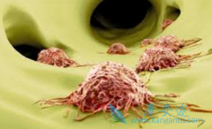 ������/��������ĸ����û������Ե��̴�ˮƽ�ĸ���Ӱ��