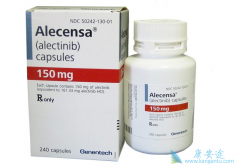 �ڶ���ALK���Ƽ��������°�ʥɯ���������ᣩ���й���������