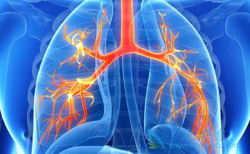 培美曲塞 培美曲塞