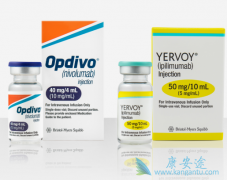 CTLA-4����Yervoy����PD-1����Opdivo���ƽ�ֱ����֢����Ч��