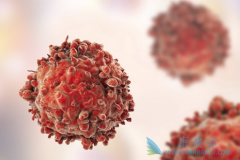 Ϊʲô���߷��ô�ϣ��/���������ʱ���ܺ�������֭