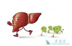 �Ҹ�DNA��������Ҫ������ǧ�򲻿ɺ���