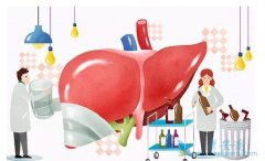 �������Ҹ�������ǰ��Ӧ��ע�������