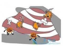 �Ҹο����������Ե���ͨ�����Դ��ڶ�ã�