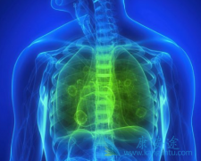 ɫ������(Ceritinib)��ǿCYP3A���Ƽ�ͬʱʹ��ʱ��ε�������