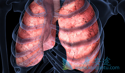 ɫ������