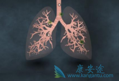 �¸�����������(GRLONAT)������ƿ��ӳ��ֲ���չ�ڻ��ߵ�������