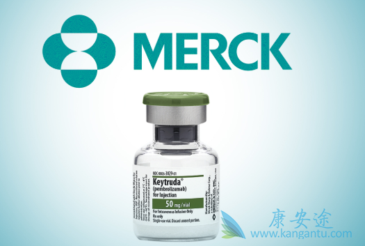 ���߼������Ƽ�