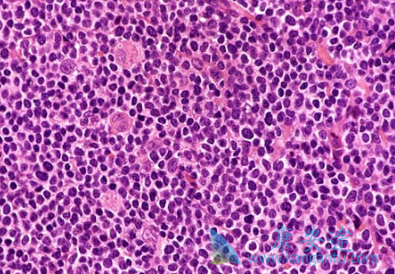 ��³����