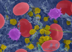 ��³����(EMLUTINI)����TG-1101���Ƹ߷���CLL��Ч����